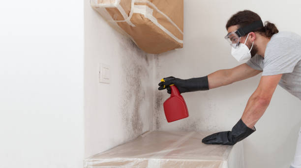 Professional Hvac And Air Duct Mold Remediation technician working in Okemos, MI